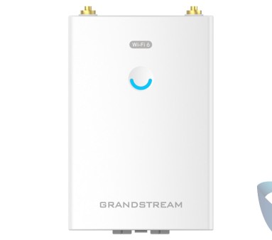 Grandstream GWN7660LR WiFi 6 2x2 Outdoor Long Range Access Point Image